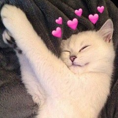 bogos binted ☆((slow mixx))☆