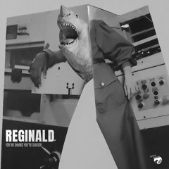 Reginald - For The Sharks You Are Seafood (Environmental Mix) [Seafront Recordings]