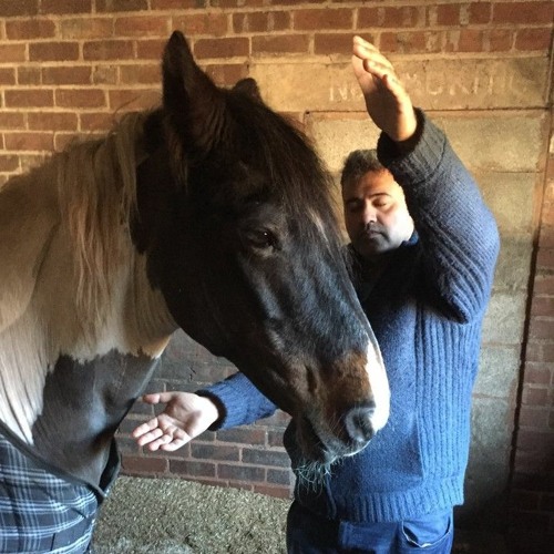 Kate Shemirani & Kishan Takahashi: A Real Life Dr. Doolittle