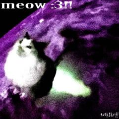 meow :3!!
