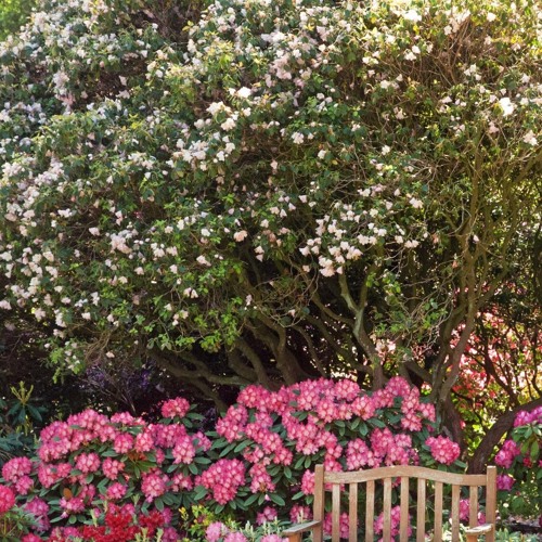 doesnt mean anything😋