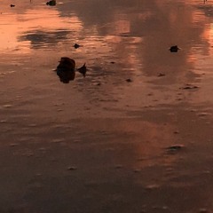 Wet Window (GGD One Kit Wonder: Modern Fusion demo) (Mixed & Mastered)