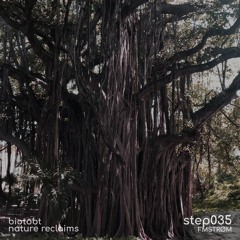 step035 by fmstrøm