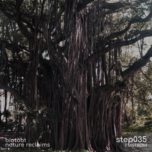 step035 by fmstrøm