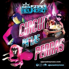CIRCUIT PA' LAS PERRAS -  ISRAEL REYNOSO
