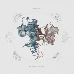 Premiere: Robot Koch - 'Liquid'