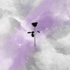 PREMIERE: Opposite Ways & Liam Guest - Thunder (Ivan Masa Remix) [Black Rose]
