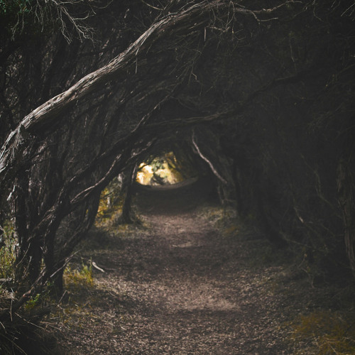 In the Grip of Desolation