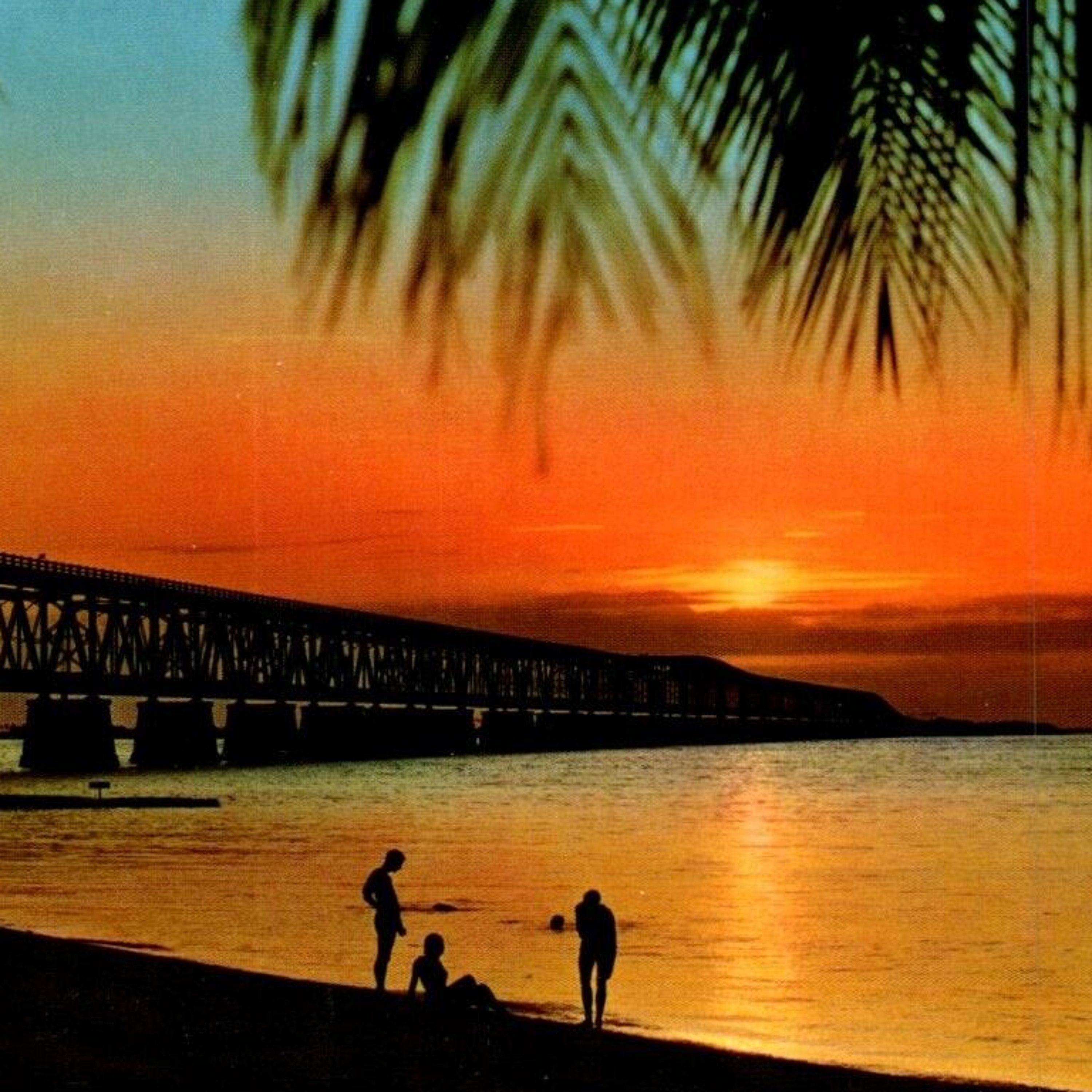 Mix of the Week #457: Coyote - To Your Left