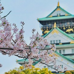 @FlashyyJayce - won't make it