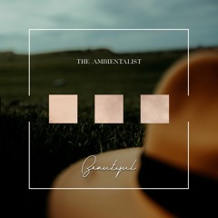 The Ambientalist - Beautiful