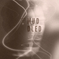 SemperFelix | muddled_