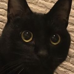 kurtains - violent ft glaive, ericdoa (snippet)