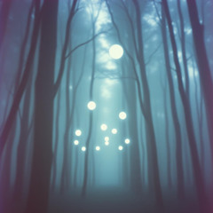 Minimalist Neo-Classical  #09