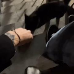 9 livezzz 🐈‍⬛ (vinny chango$)