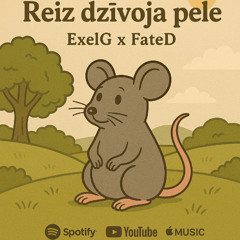 Reiz dzīvoja pele