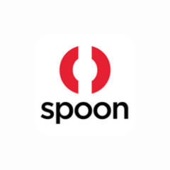 Wisebuddah - Spoon Radio 2025