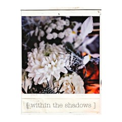 [ within the shadows ]