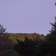 Elkskinn-nothing...(dsbm)