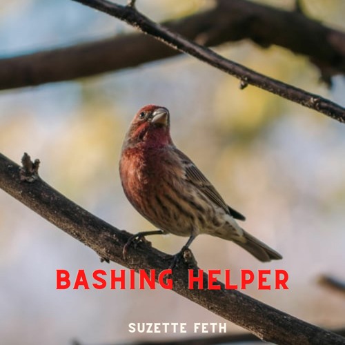 Bashing Helper