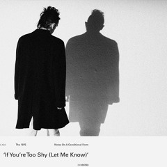 The 1975 - If Your Too Shy ( Let Me Know ) ( Steve Mcphail Remix )