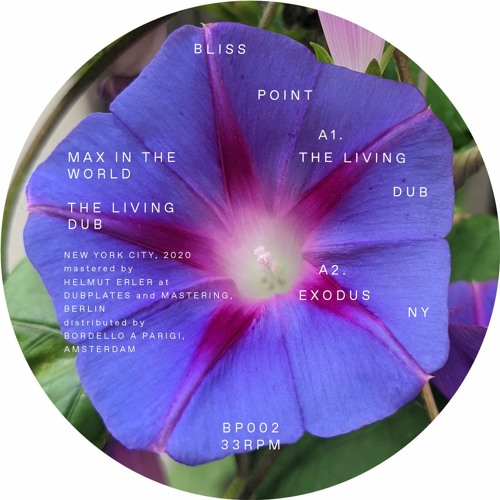 PREMIERE: Max In The World - The Living Dub (Sentiments' D-More Mix)[Bliss Point]
