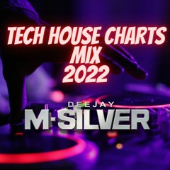 TECH HOUSE VS. CHARTS MIX - M - SILVER 2022