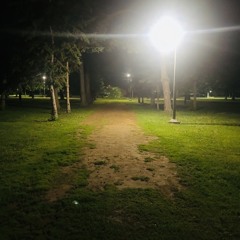 Niight Vision