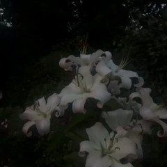 death by murder (snippet)