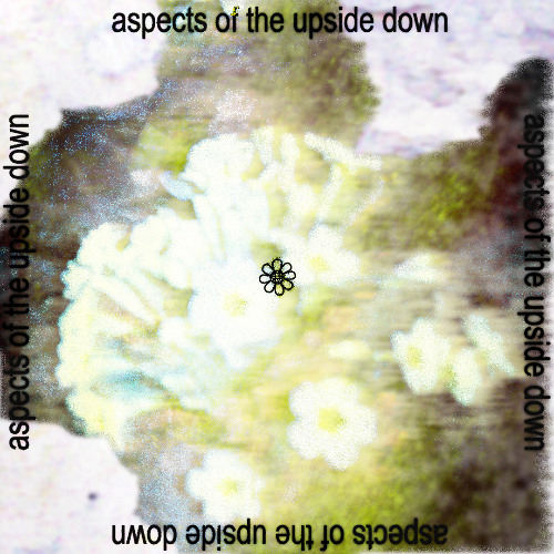 a.b.out - aspects of the upside down