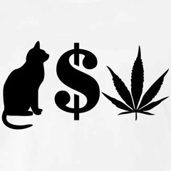 Lil Wayne - Pussy, Money, Weed (PMW)
