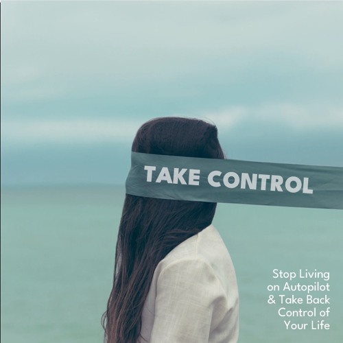 Take Control Self Help PLR Audio Sample