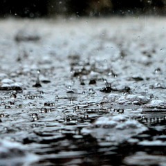 ネオンを消して(cover)