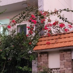 Gam Màu Tím Ở Rìa Thế Giới (cover)