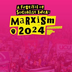 The Left, Palestine And The Election