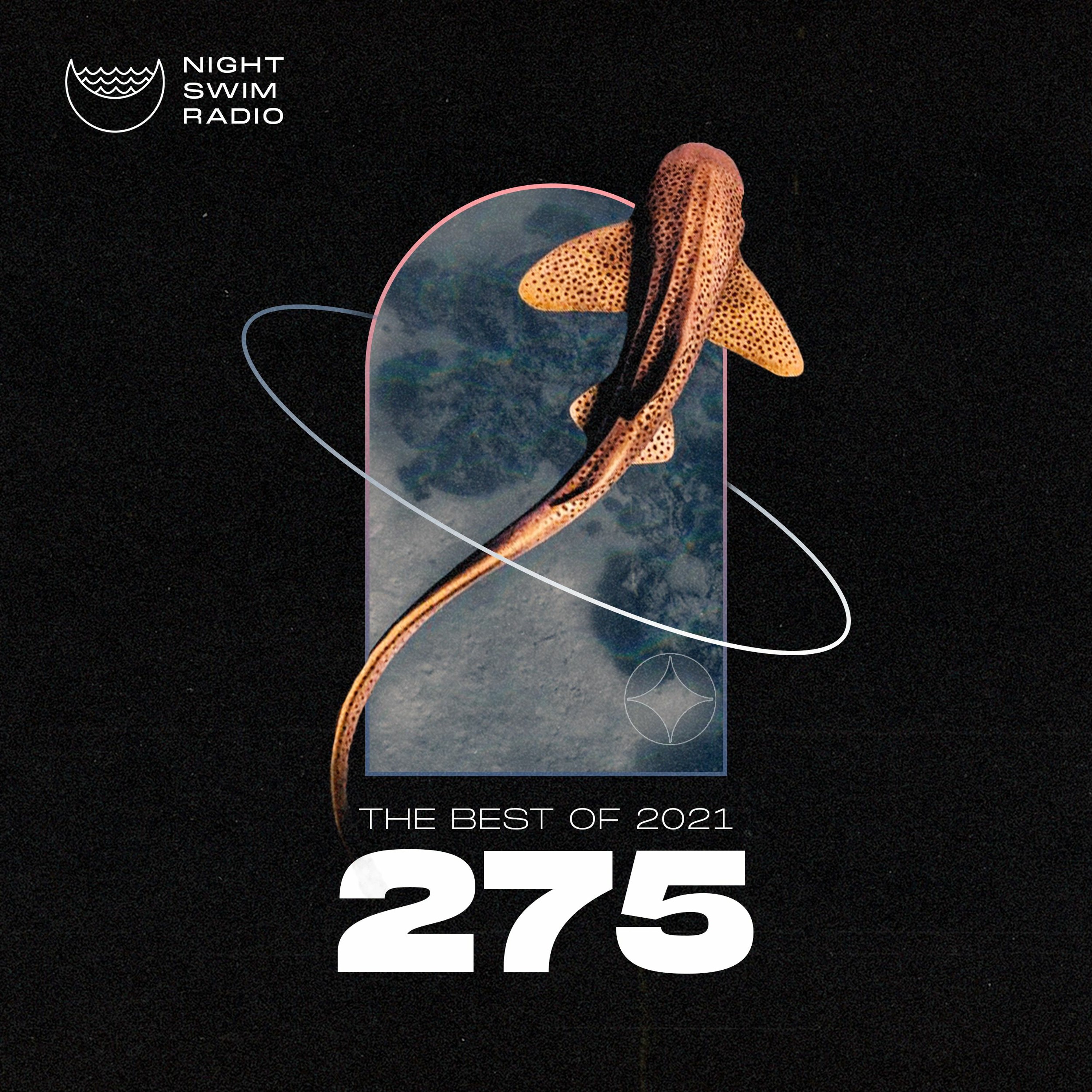 Night Swim Radio - Dive 275 Best of 2021 episode artwork