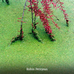 O MATO Tapes - 021 - Robin Petitjean