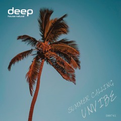 unvibe - at sunset