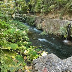 purpose (prod. @444jet)