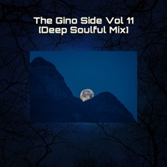 The Gino Side Vol 11 [Deep Soulful Mix]