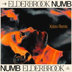 Elderbrook - Numb (Kolev Remix)