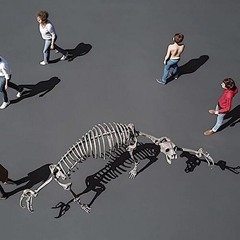 Edward Skeletrix X o0o - OK ..