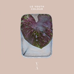 Le Youth - Colour