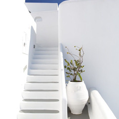 سورة البقرة | وديع اليمني