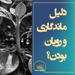 دلیل ماندگاری و رویان بودن؟