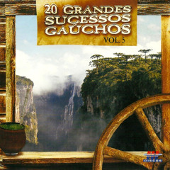 GAUCHÃO DE APARTAMENTO (AO VIVO)