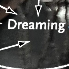 dreaming & believing