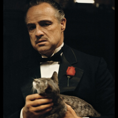 Ggm Stickz - Not Safe