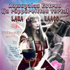 Aamupalax Estroo DnB flip