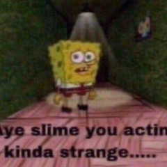 SLIME TIME ft Rajo (prod. by Mileex)